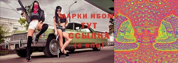 гашик Белокуриха